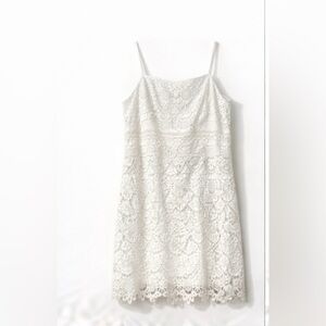 Hollister Strapless Cream Lace Dress size L